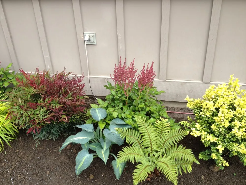 Local lawn care service in Enumclaw, WA by Roger Cross Landscaping and Nursery