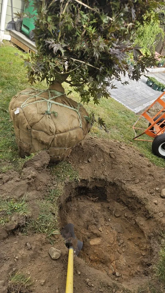 Expert outdoor landscaping near you across Marlborough, MA - Roger Landscaping