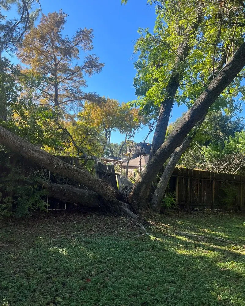 Trusted yard maintenance for homes in Houston, TX by Roger Services