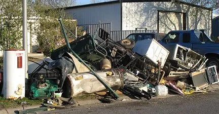 Expert outdoor landscaping experts serving Houston, TX - Roger Services