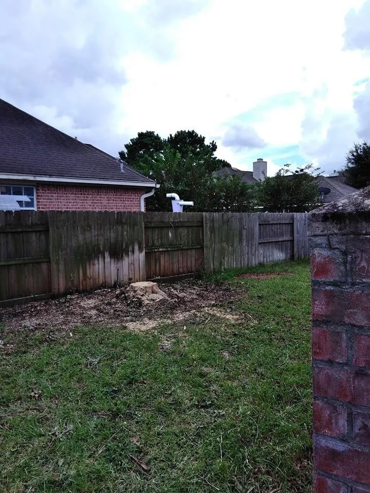 Reliable landscape installation experts serving Houston, TX - Roger Services