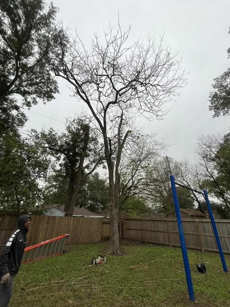 Professional yard maintenance for year-round maintenance across Houston, TX - Roger Services