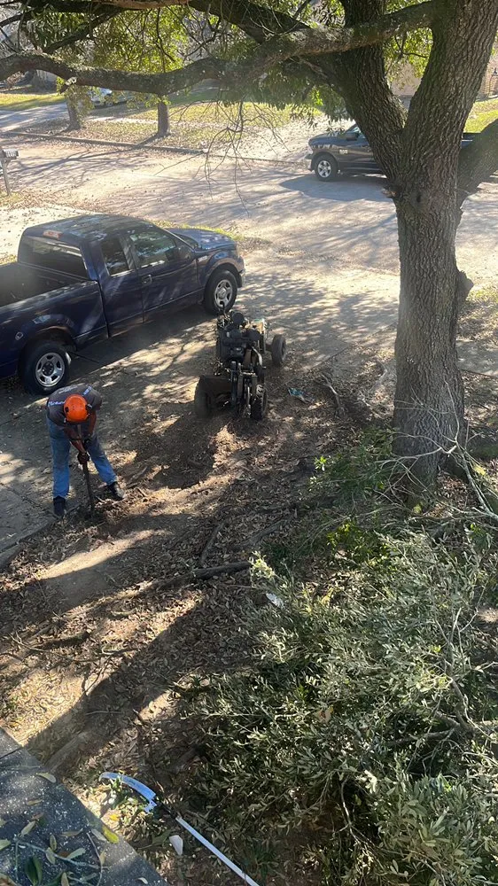 Trusted lawn mowing service experts serving Houston, TX - Roger Services