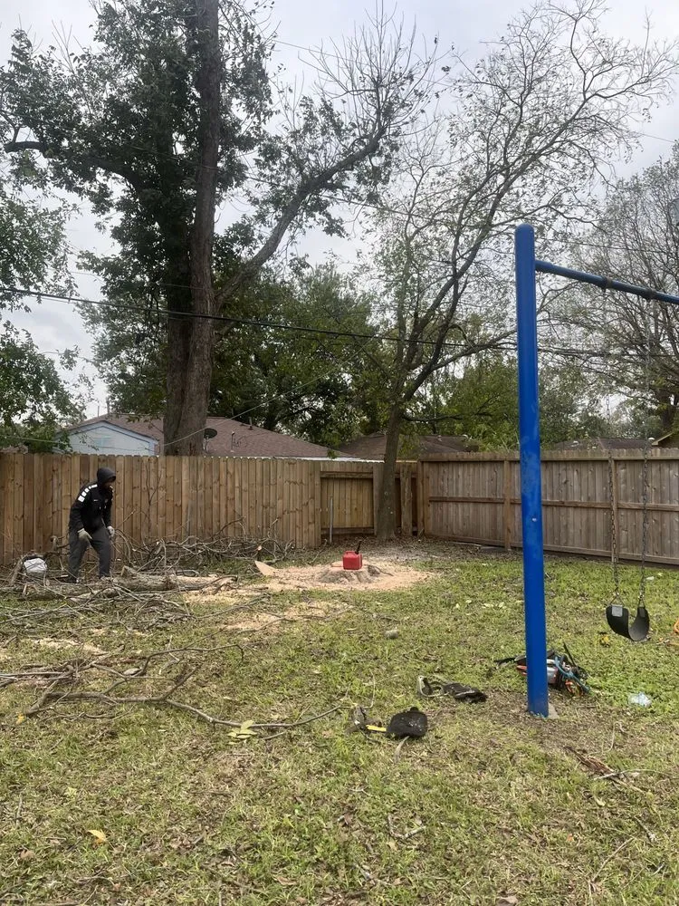 Custom residential landscaping experts serving Houston, TX - Roger Services