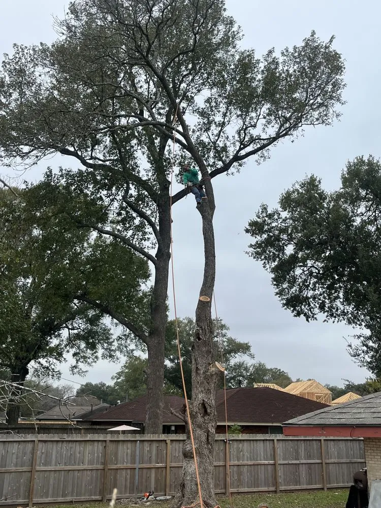 Custom garden landscaping with custom design across Houston, TX - Roger Services