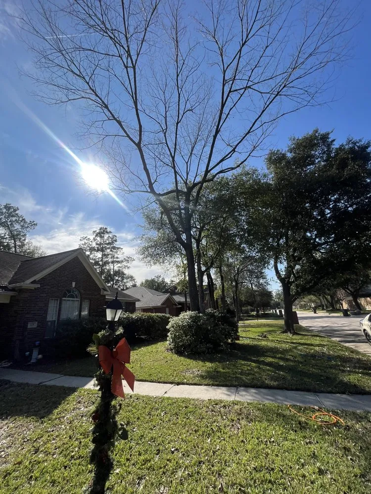 Expert outdoor landscaping experts serving Houston, TX - Roger Services