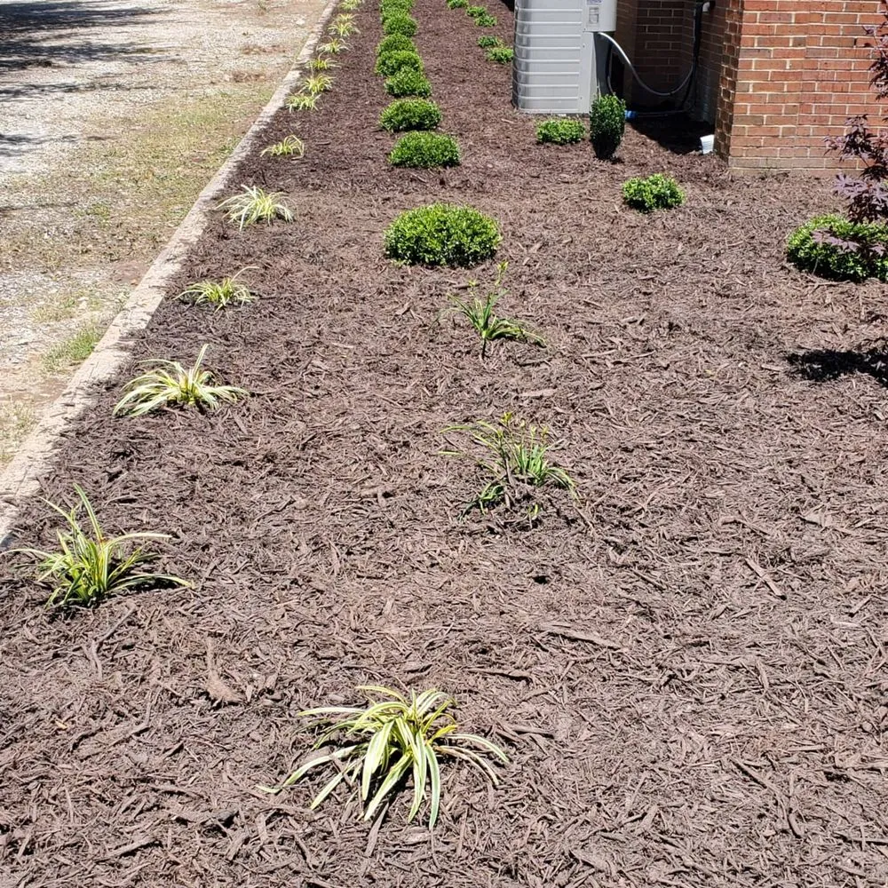 Top-rated landscape installation in Savannah, GA by Roger That Enterprise