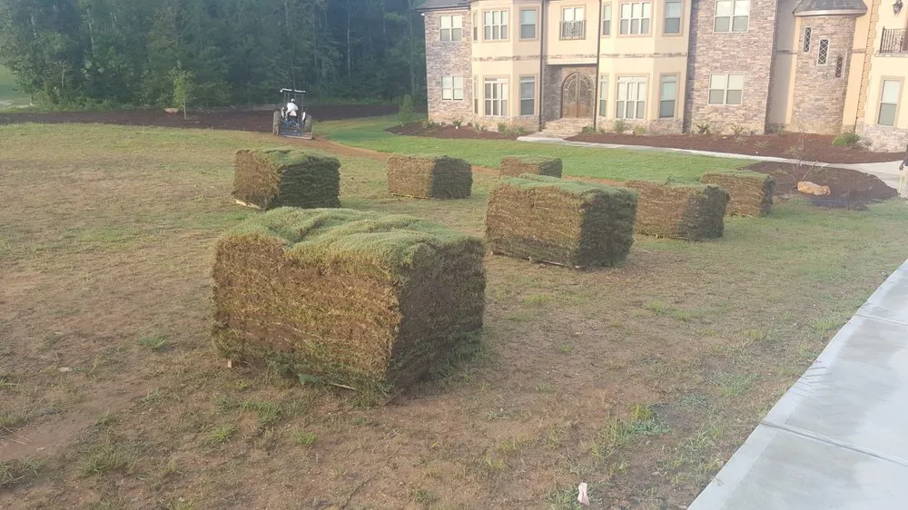 Custom yard cleanup service near you across Savannah, GA - Roger That Enterprise