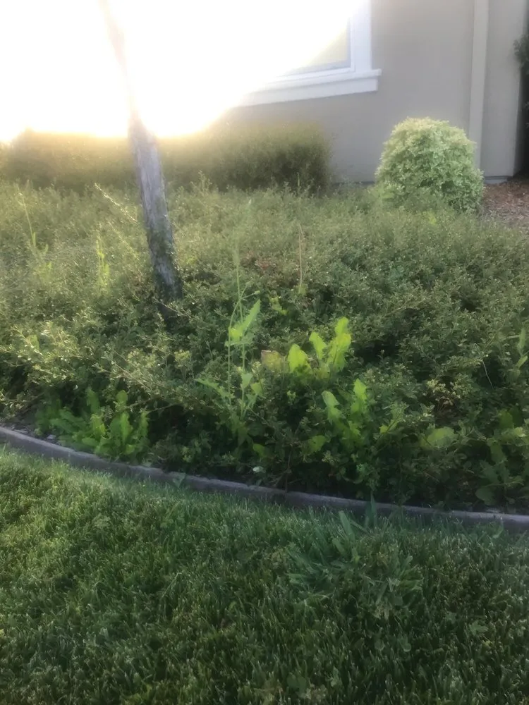 Local garden landscaping near you across Kelseyville, CA - Roger Wheeler Landscaping