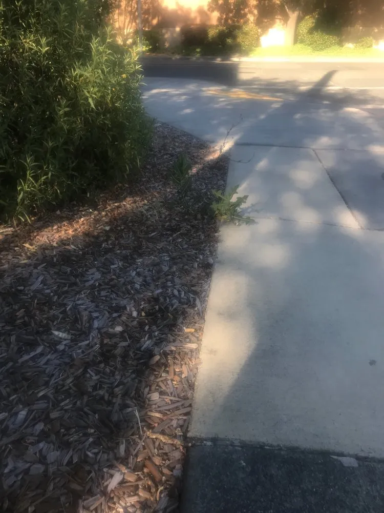 Affordable residential landscaping for beautiful yards in Kelseyville, CA by Roger Wheeler Landscaping