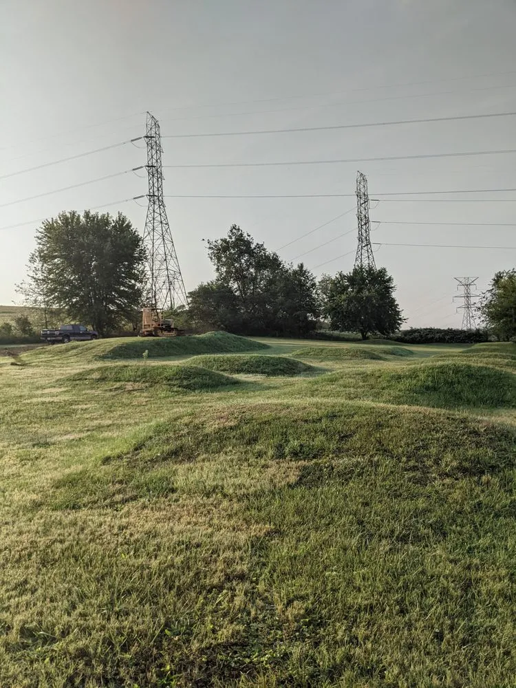 Reliable yard cleanup service near you across Waynesburg, OH - Rogers Bulldozer