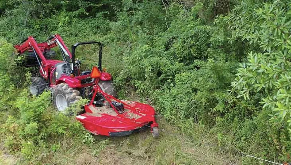 Local outdoor landscaping for year-round maintenance across Westminster, SC - Rogers Bush Hogging Services