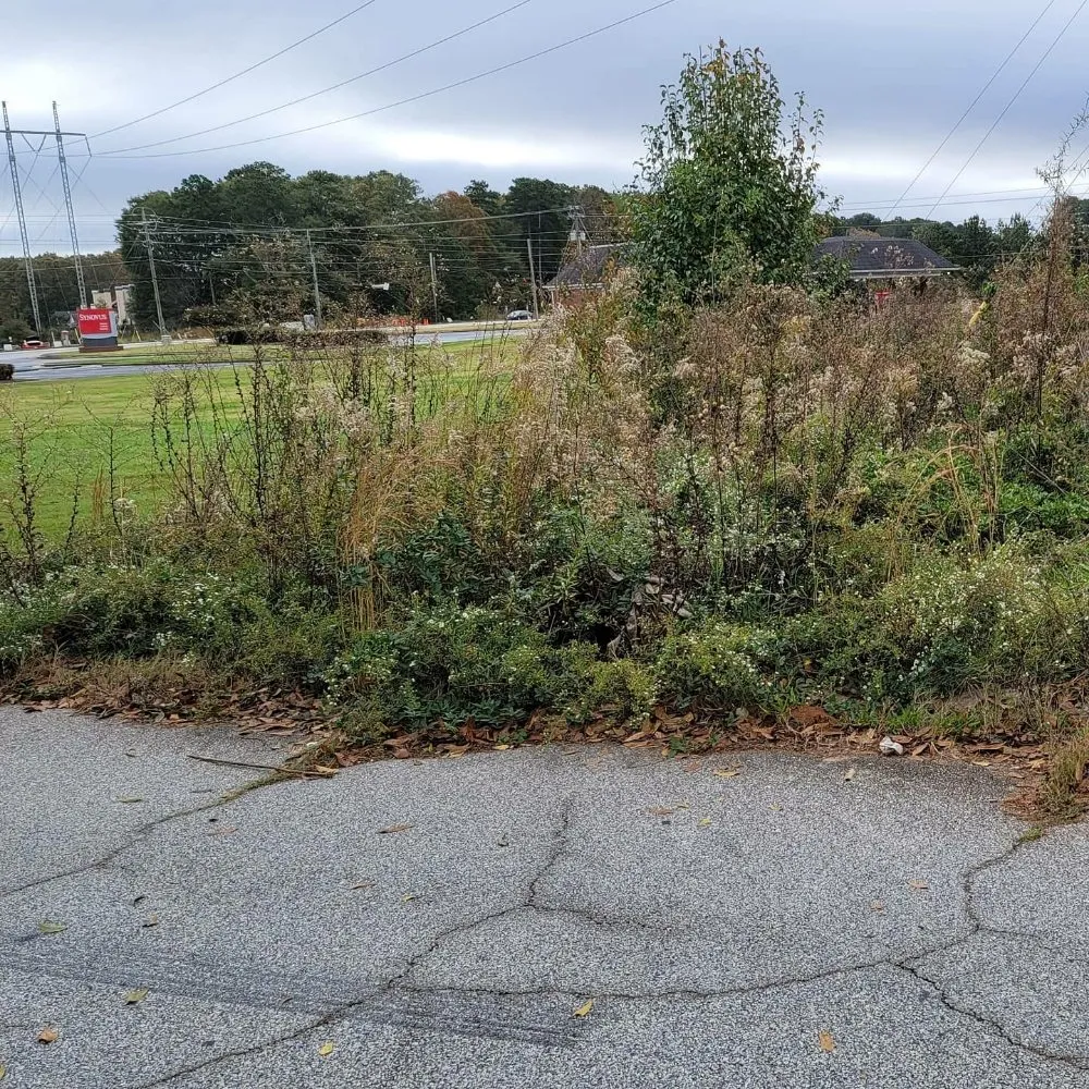 Trusted residential landscaping experts serving Covington, GA - Rogers Cleaning & Handymen Services