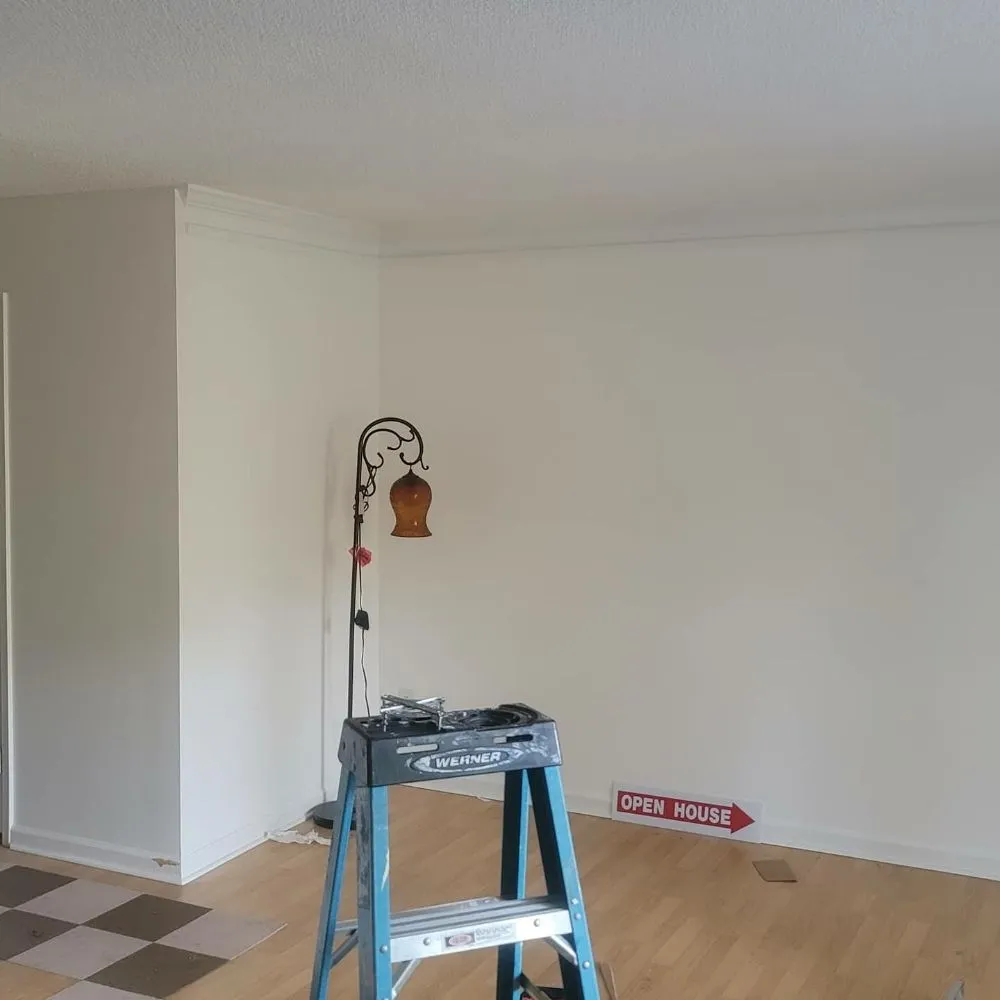 Custom yard cleanup service experts serving Covington, GA - Rogers Cleaning & Handymen Services