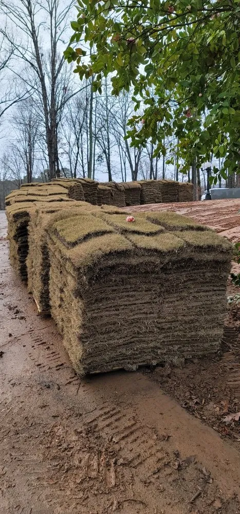 Custom residential landscaping in Covington, GA - Rogers Cleaning & Handymen Services