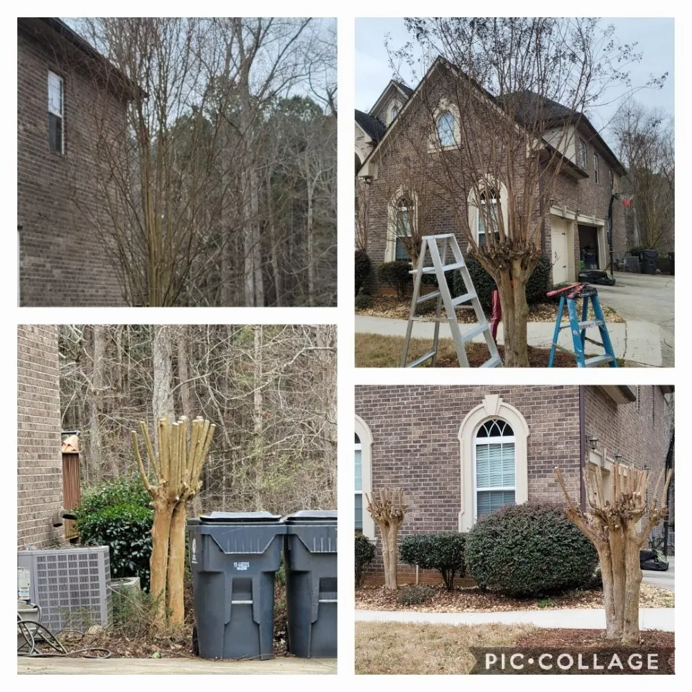 Professional landscaping services for homes in Covington, GA by Rogers Cleaning & Handymen Services