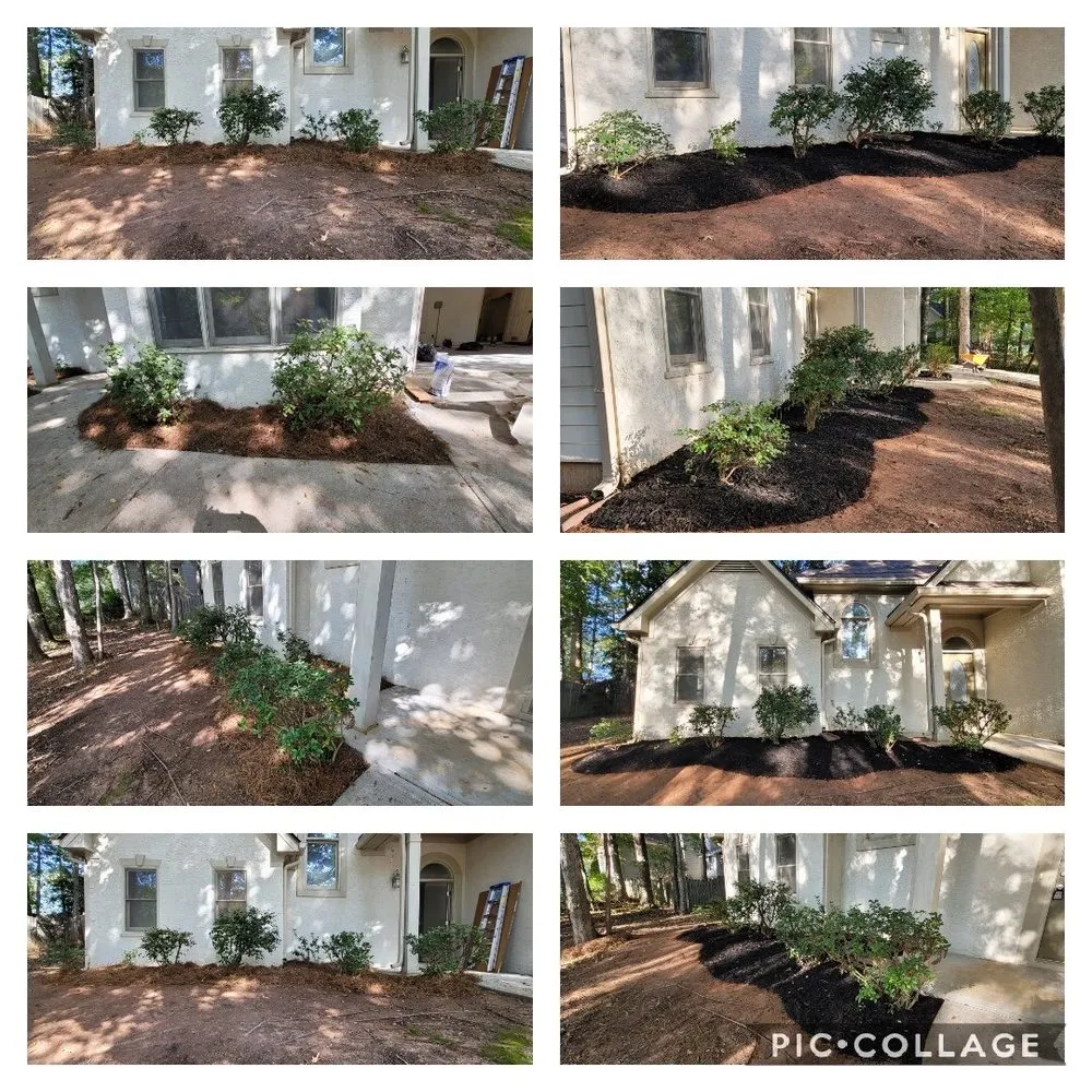 Professional yard maintenance in Covington, GA by Rogers Cleaning & Handymen Services