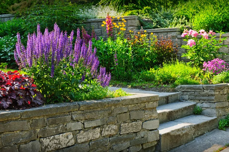 Reliable landscaping services in Benicia, CA by Roger's Gardening Service