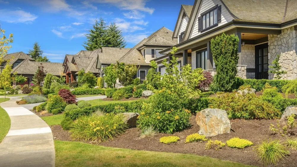 Top-rated landscape design experts serving Benicia, CA - Roger's Gardening Service