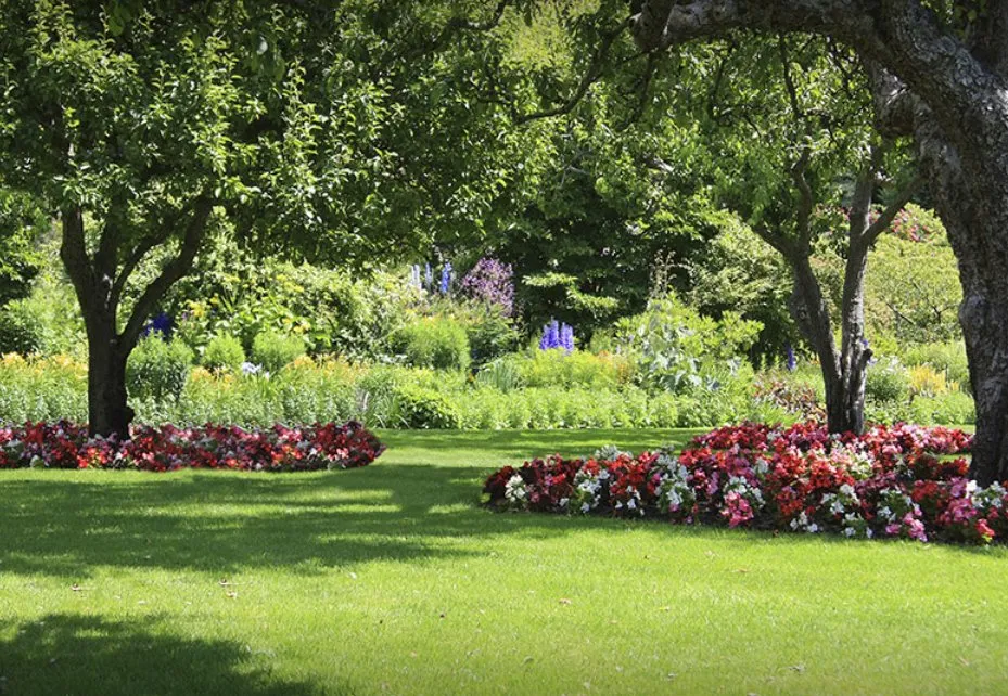 Expert lawn mowing service experts serving Benicia, CA - Roger's Gardening Service