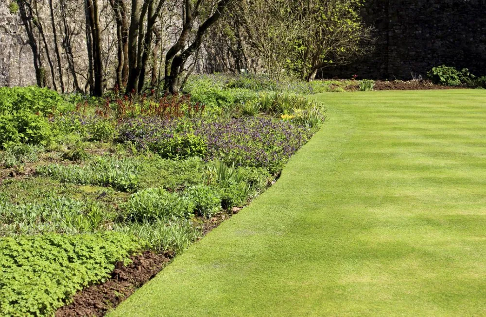 Custom lawn mowing service for residential properties across Benicia, CA - Roger's Gardening Service