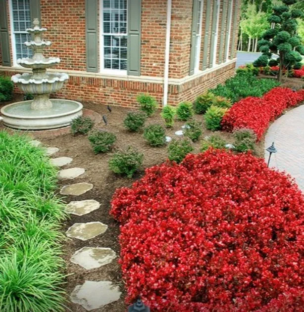 Top-rated residential landscaping experts serving Benicia, CA - Roger's Gardening Service