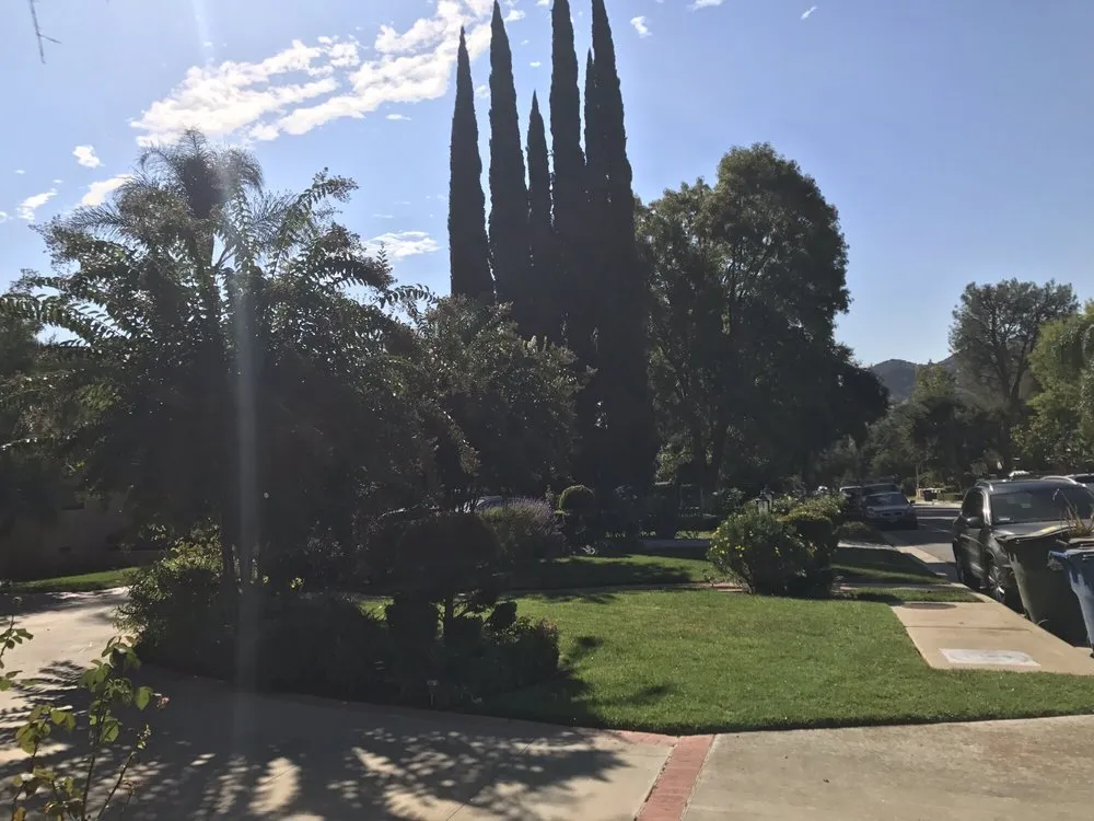 Trusted yard cleanup service experts serving La Cañada Flintridge, CA - Rogers Landscape & Expert Gardening Service