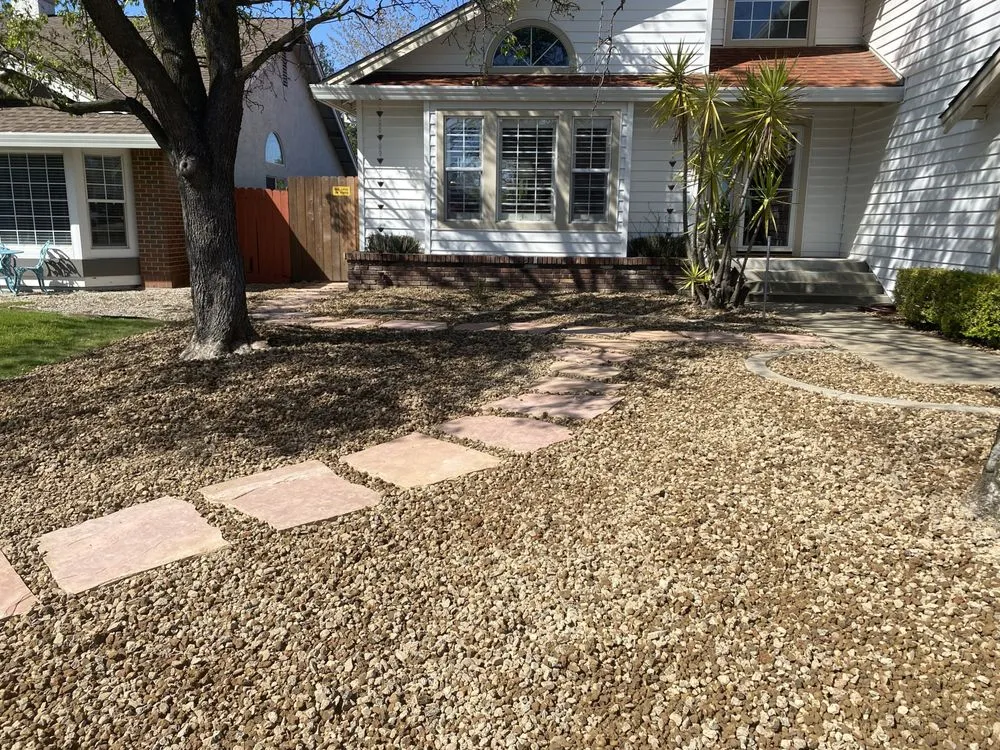 Local yard cleanup service for year-round maintenance across Loomis, CA - Rogers Landscape