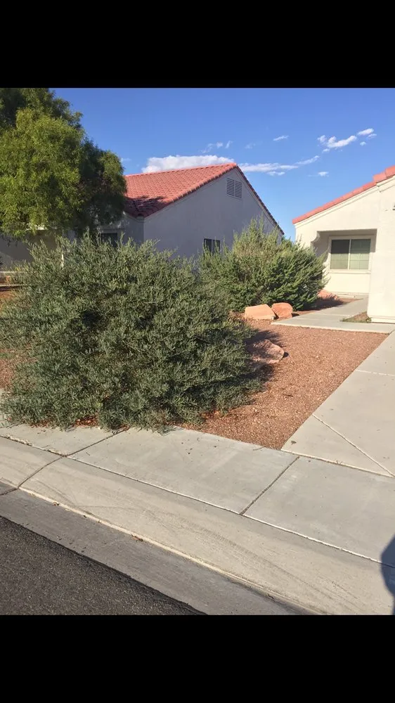 Top-rated landscape design in North Las Vegas, NV - Roger's Landscaping