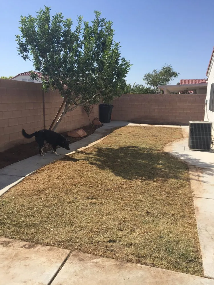 Affordable yard maintenance experts serving North Las Vegas, NV - Roger's Landscaping