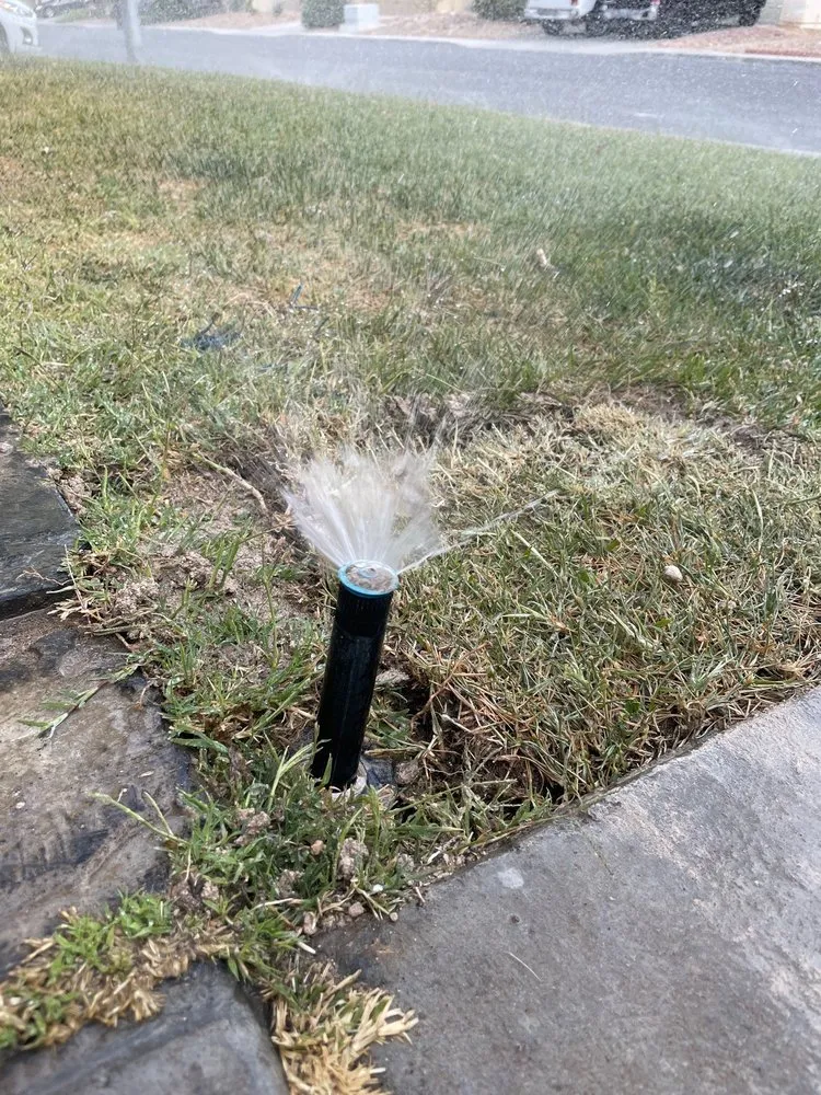 Professional yard cleanup service in North Las Vegas, NV - Roger's Landscaping