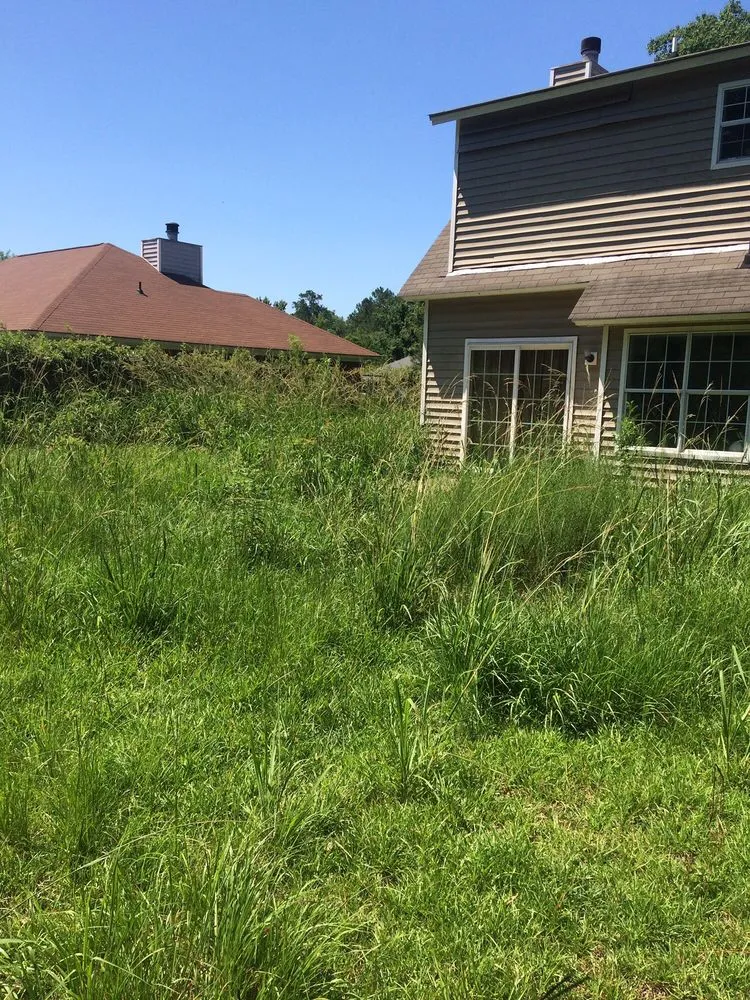 Reliable garden landscaping for year-round maintenance in Richmond Hill, GA by Roger's Lawn Care And Pressure Washing