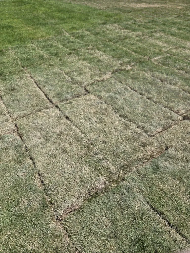 Professional outdoor landscaping for outdoor upgrades across Billings, MT - Rogers Lawn Service