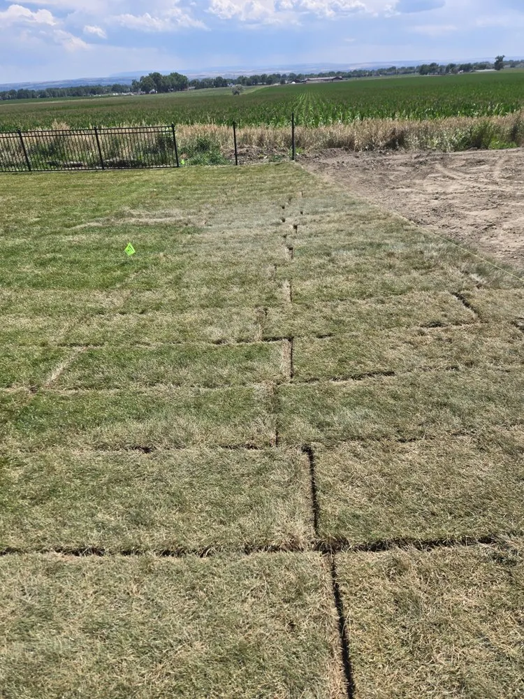 Top-rated outdoor landscaping with custom design in Billings, MT by Rogers Lawn Service