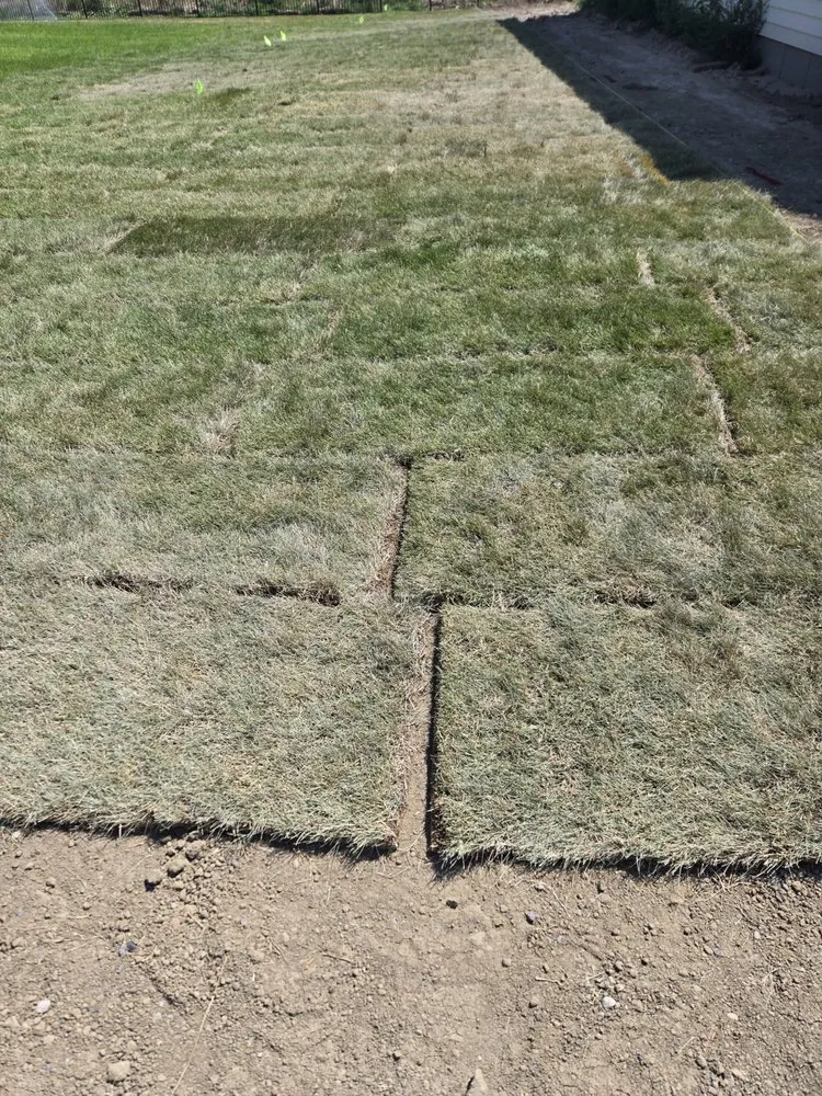 Expert yard cleanup service for residential properties in Billings, MT by Rogers Lawn Service