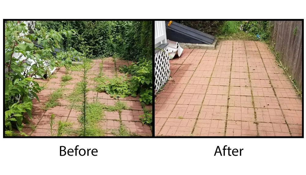 Top-rated outdoor landscaping for year-round maintenance across Boston, MA - Roger's Snow Removal and Landscaping Service