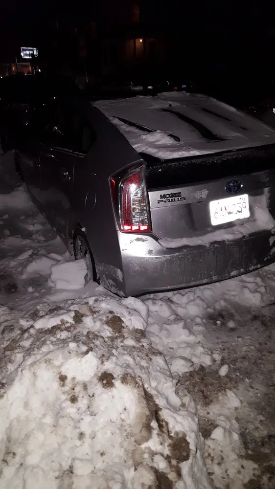 Custom outdoor landscaping with custom design in Boston, MA by Roger's Snow Removal and Landscaping Service