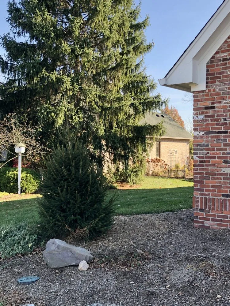 Affordable residential landscaping experts serving Carmel, IN - Rogers Tree Service & Landscaping