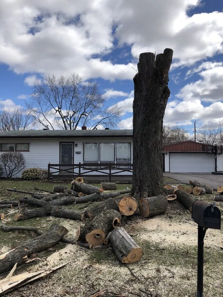 Local landscape installation experts serving Carmel, IN - Rogers Tree Service & Landscaping