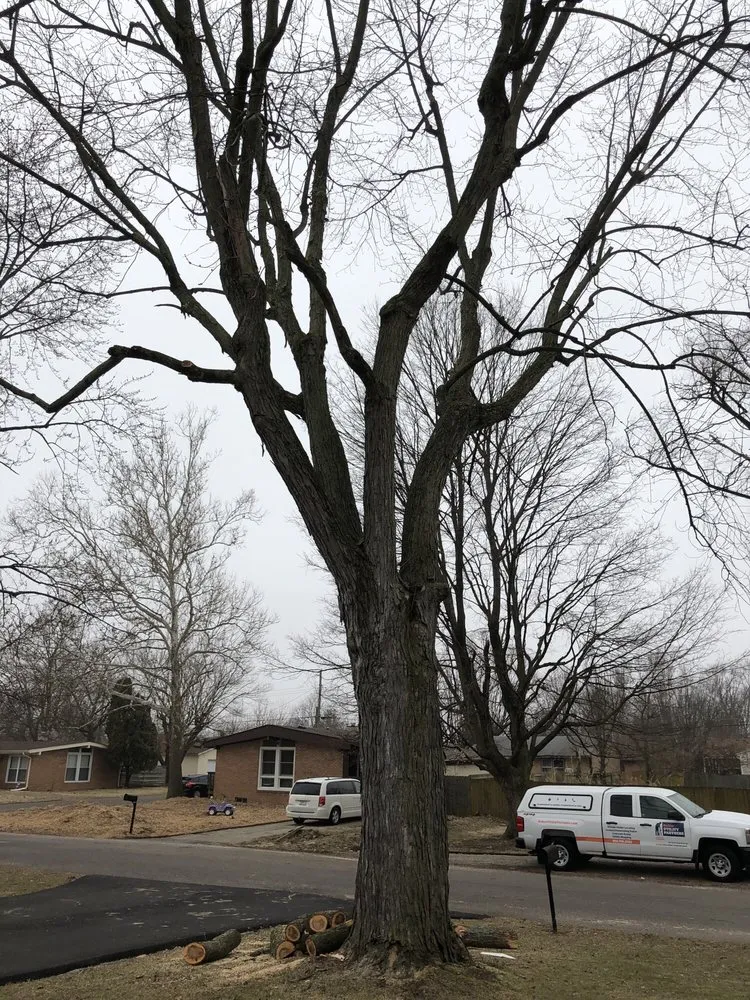 Trusted landscape design in Carmel, IN by Rogers Tree Service & Landscaping