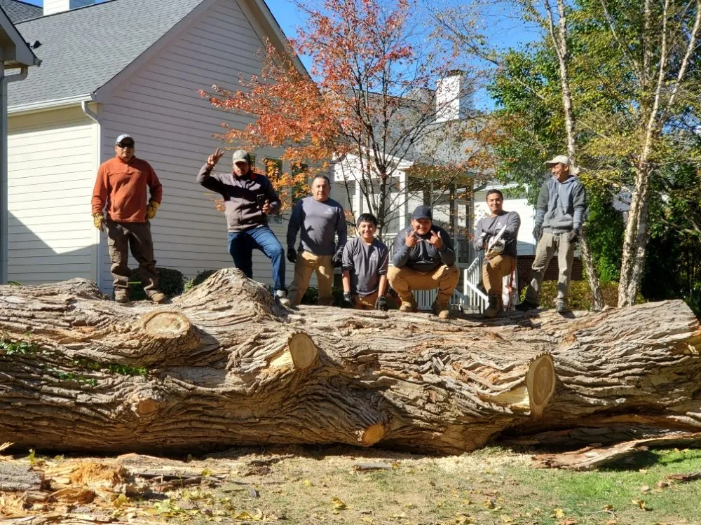 Reliable yard cleanup service experts serving Carmel, IN - Rogers Tree Service & Landscaping