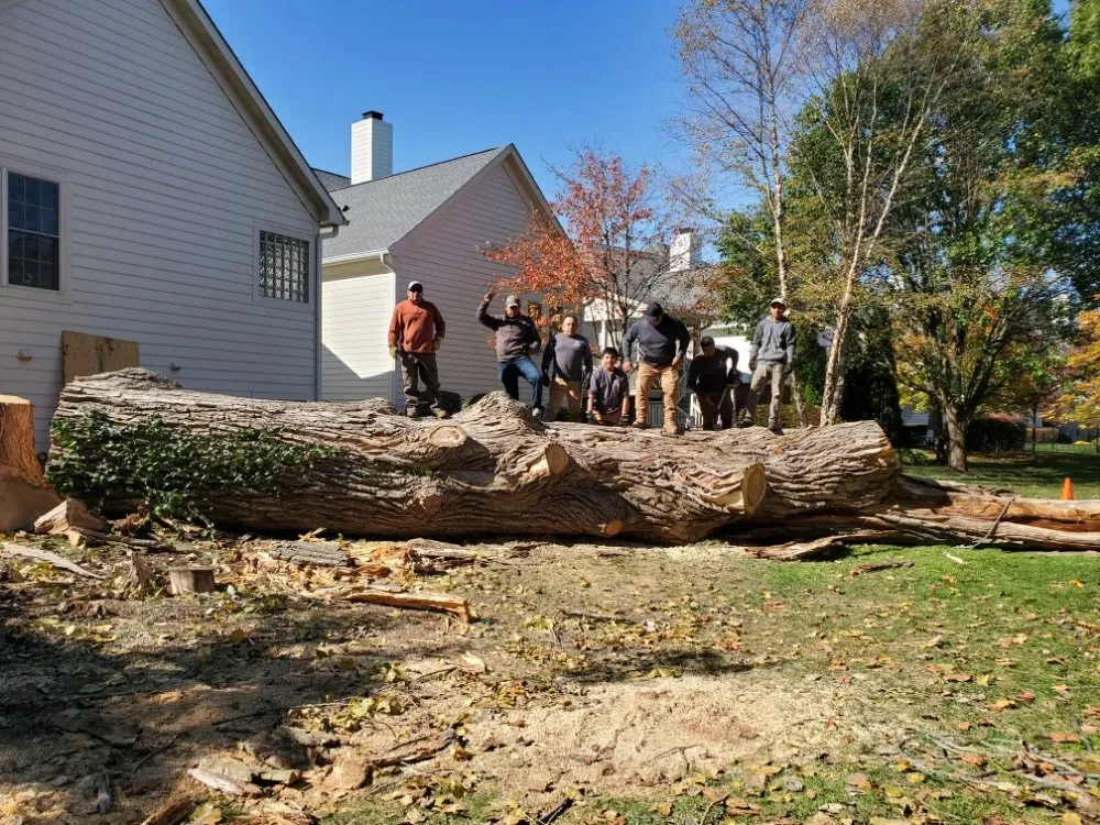 Local landscaping services in Carmel, IN by Rogers Tree Service & Landscaping