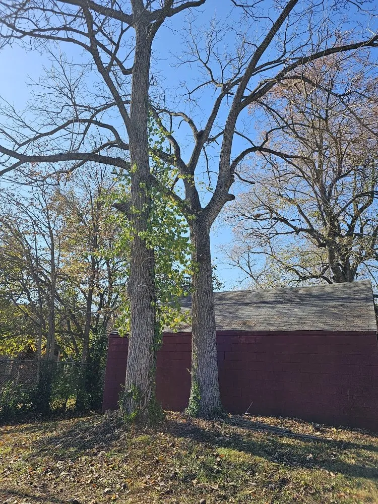 Trusted landscape design experts serving Carmel, IN - Rogers Tree Service & Landscaping