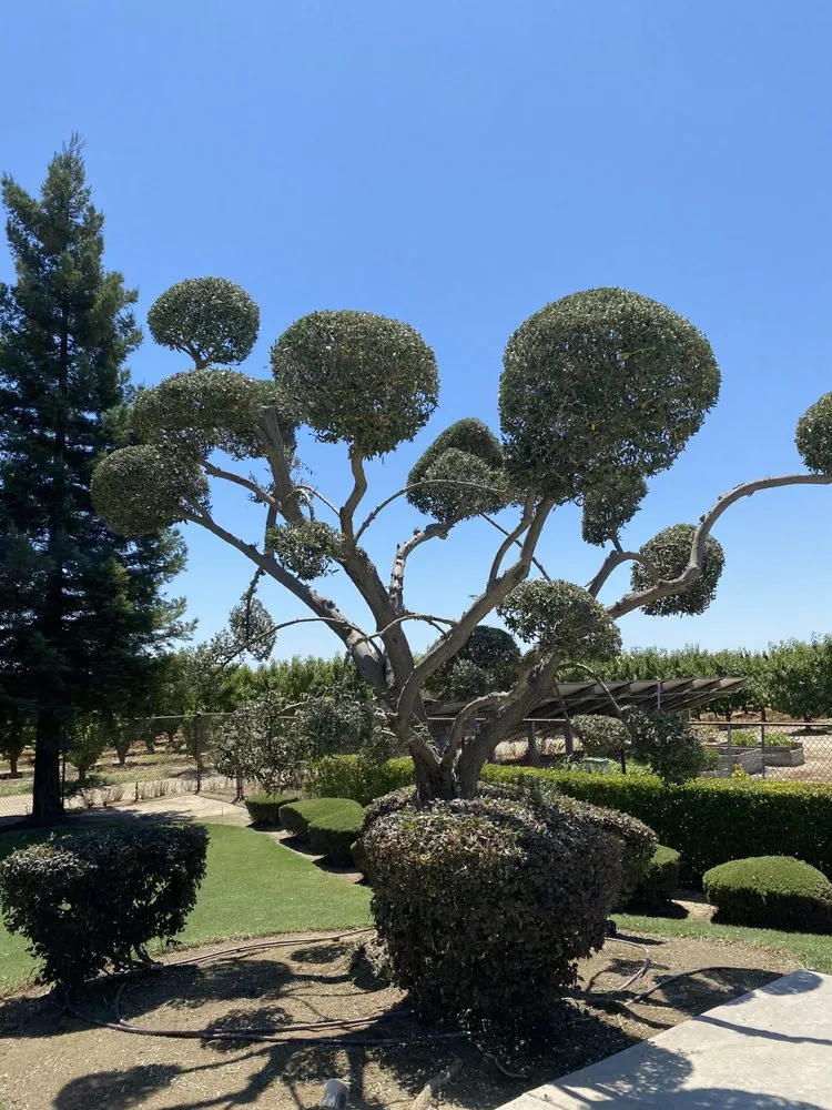 Local landscaping services with custom design across Kingsburg, CA - Rogers Tree Service
