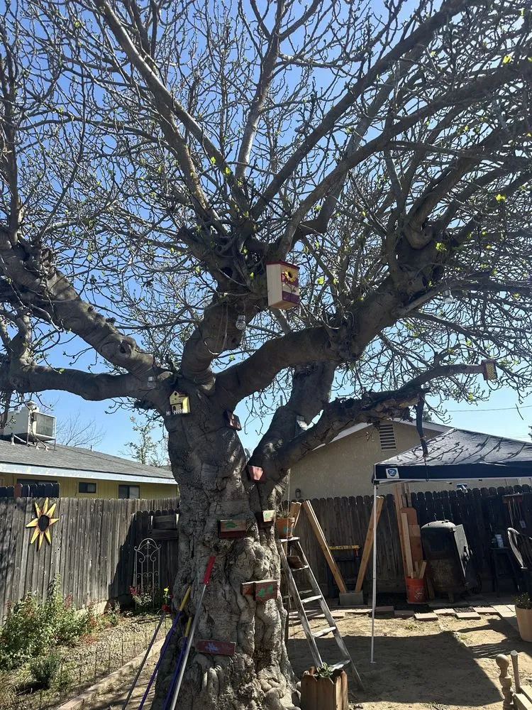 Expert garden landscaping for homes across Kingsburg, CA - Rogers Tree Service