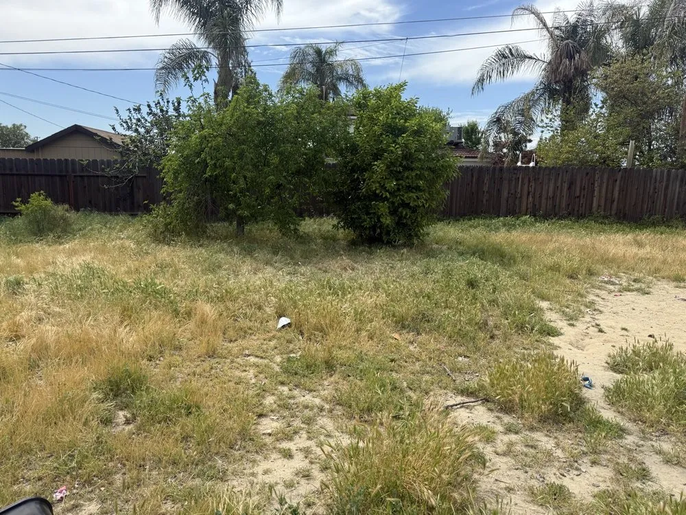 Expert yard maintenance in Kingsburg, CA - Rogers Tree Service