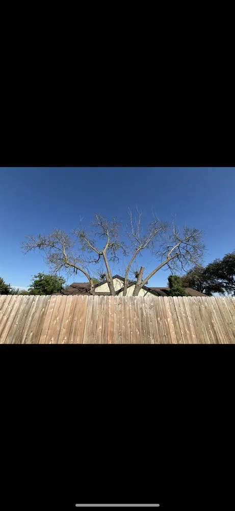 Expert lawn mowing service in Kingsburg, CA - Rogers Tree Service