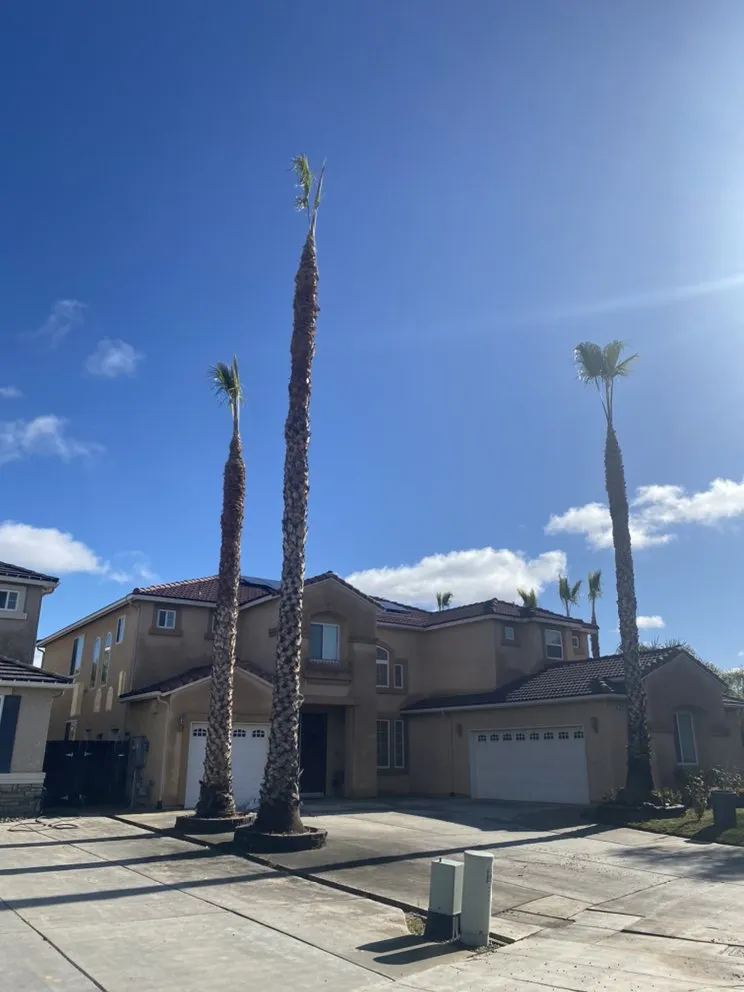 Expert yard maintenance for beautiful yards across Kingsburg, CA - Rogers Tree Service