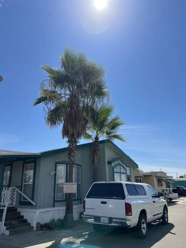 Expert lawn mowing service in Kingsburg, CA by Rogers Tree Service