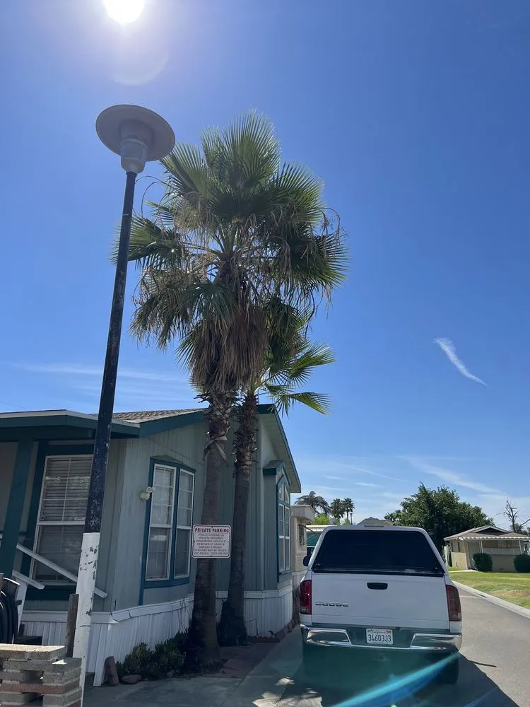 Reliable residential landscaping with custom design across Kingsburg, CA - Rogers Tree Service